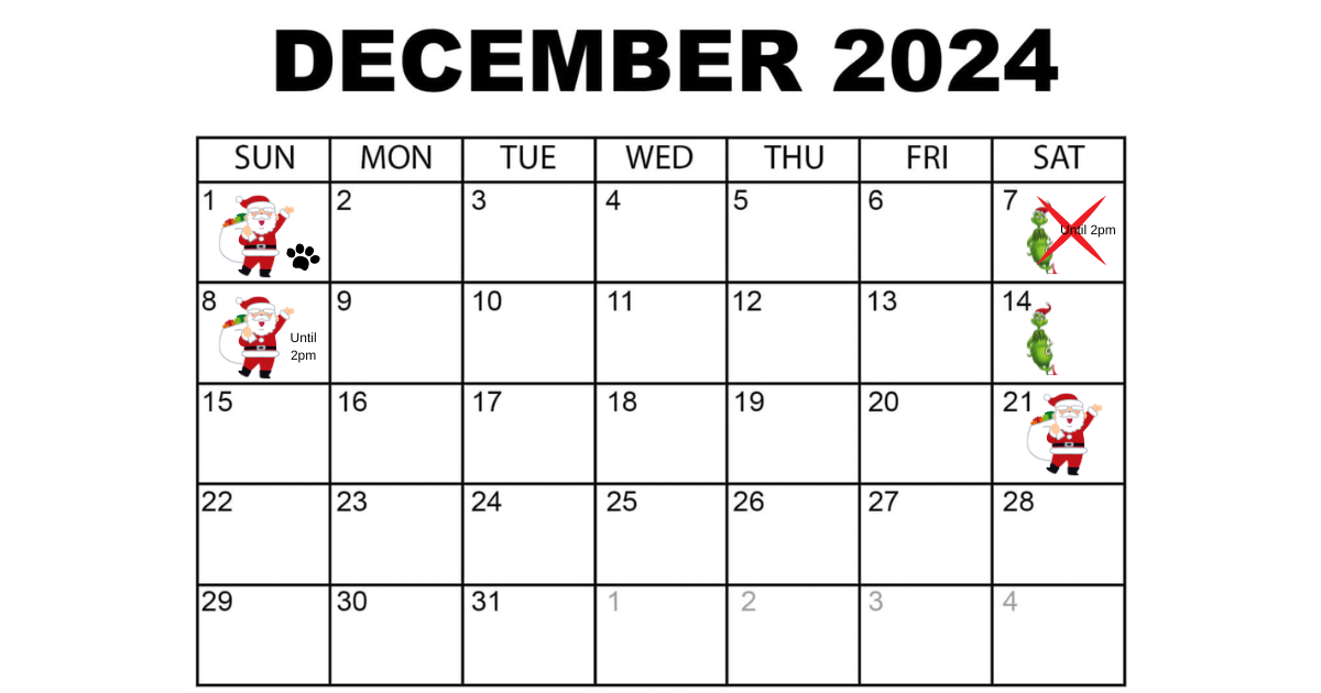 december schedule for christmas photos