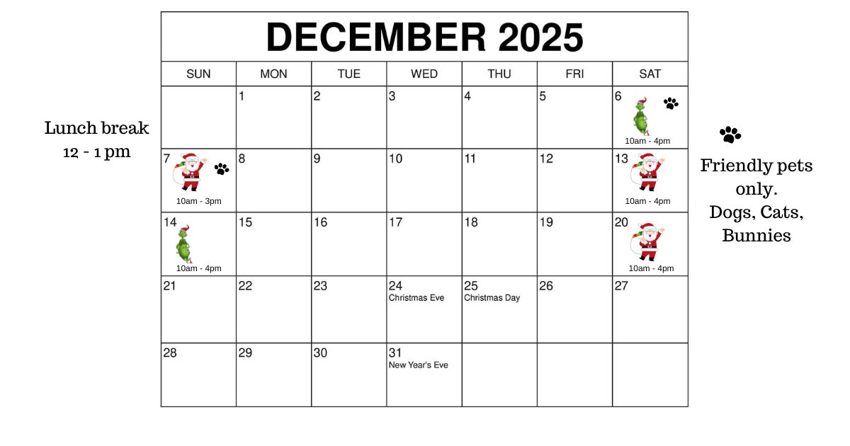 december schedule for christmas photos